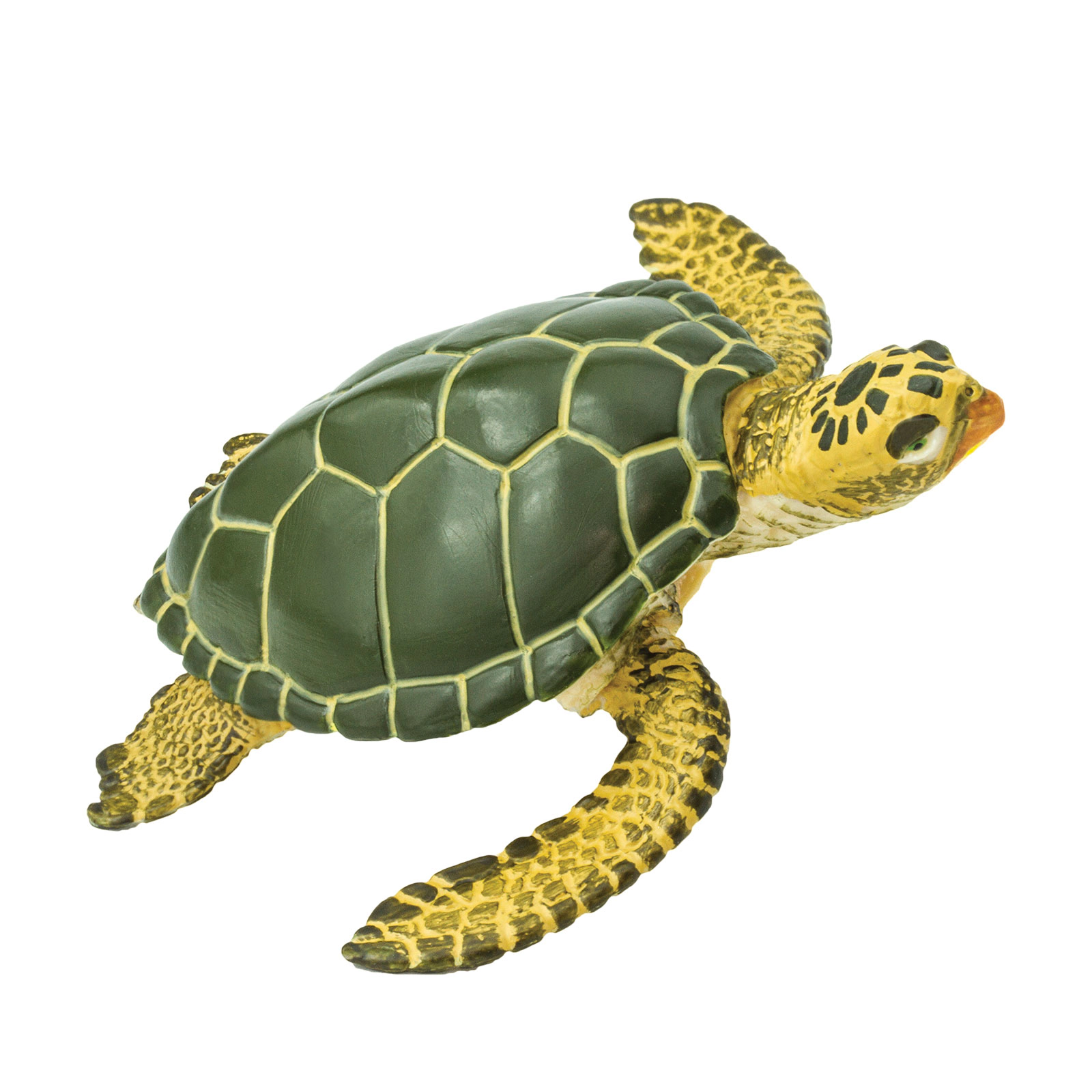 Safari Ltd. - Green Sea Turtle Kids Toy Figure