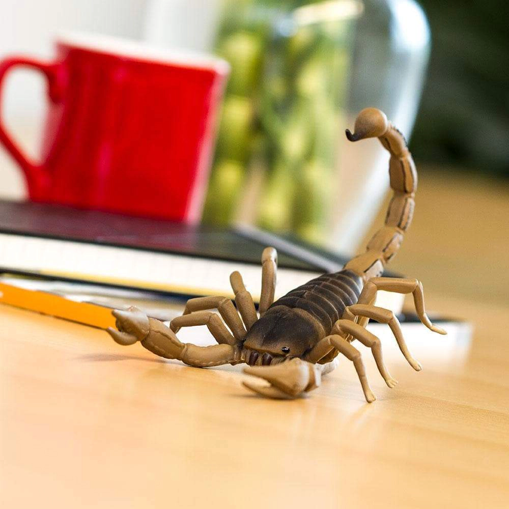Safari Ltd. - Scorpion Kids Toy Figure