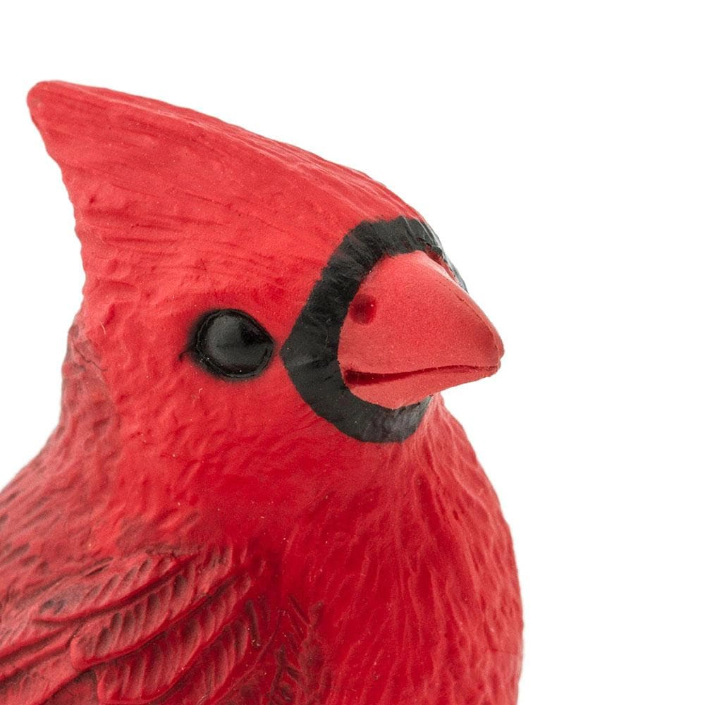 Safari Ltd. - Cardinal Kids Toy Figure