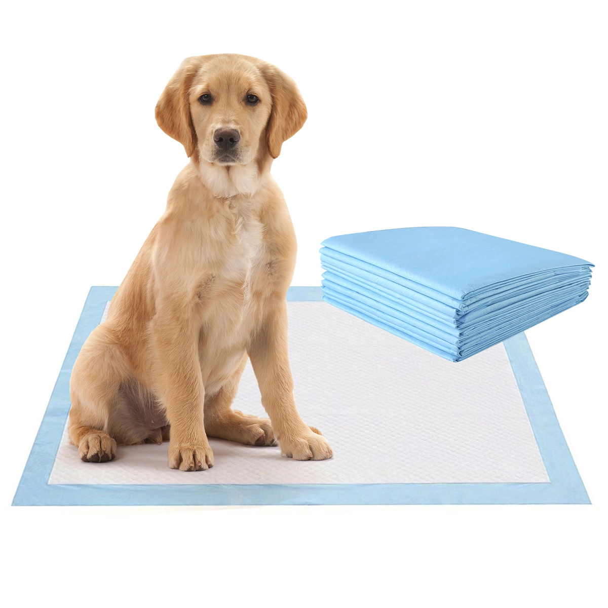 SUGIFT 5-Layer Absorbent Pet Training Pad Pet Bed Protector 30 x 30 in M Size 150-Count Disposable Pee Pads Blue+White