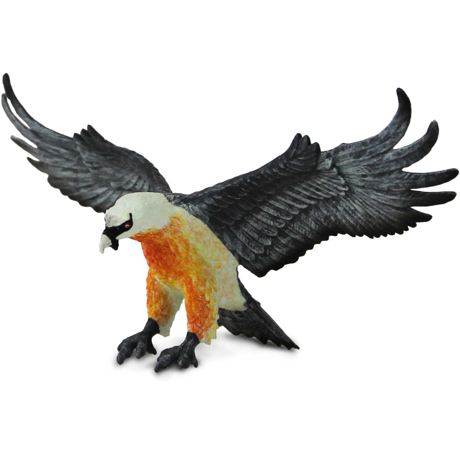 Safari Ltd. - Bearded Vulture Kids Toy Figure