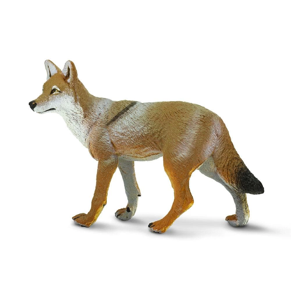Safari Ltd. - Coyote Kids Toy Figure