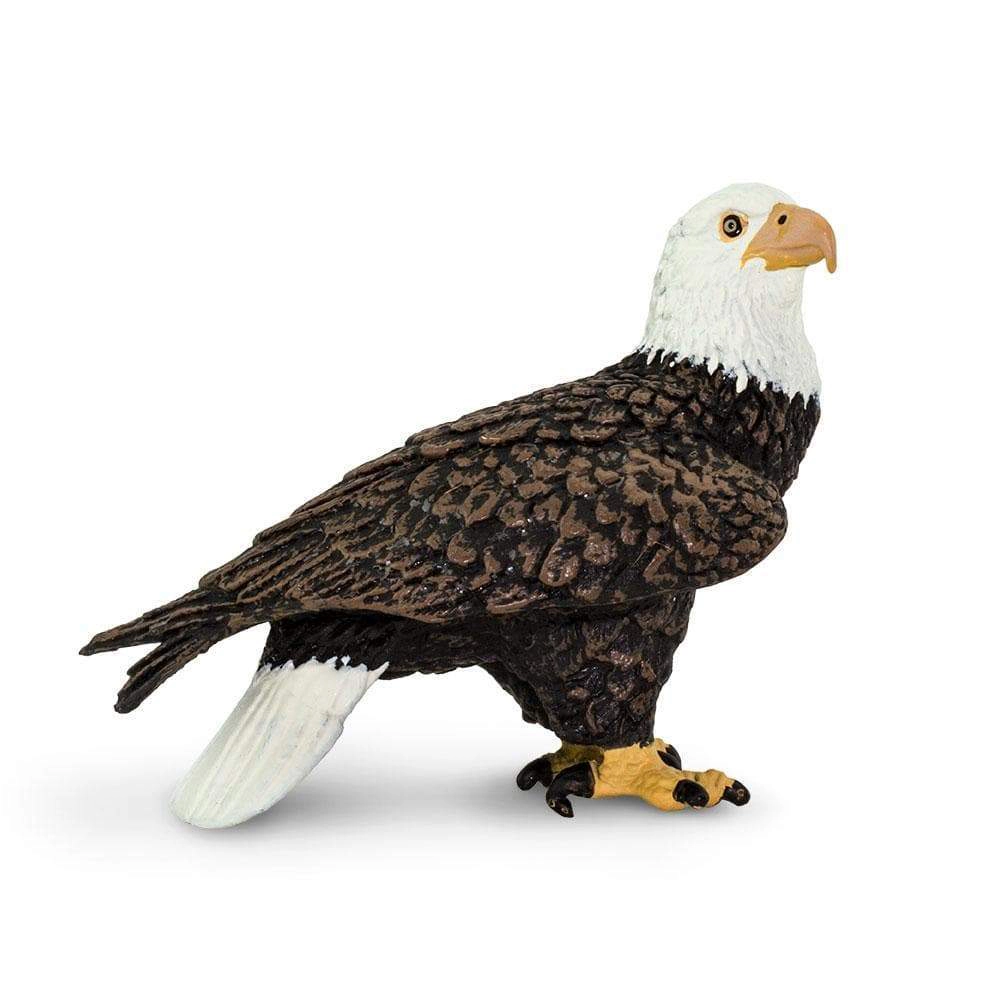 Safari Ltd. - Bald Eagle Kids Toy Figure