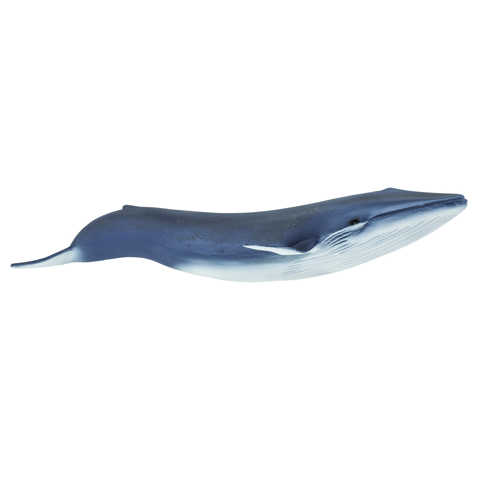 Safari Ltd. - Blue Whale Kids Toy Figure