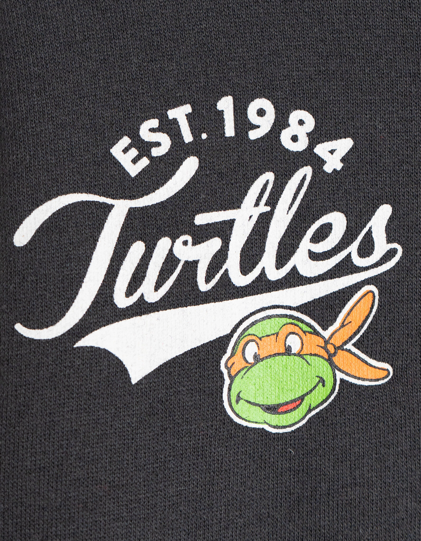 Teenage Mutant Ninja Turtles Boys' Fleece Varsity Jacket and Pants Set