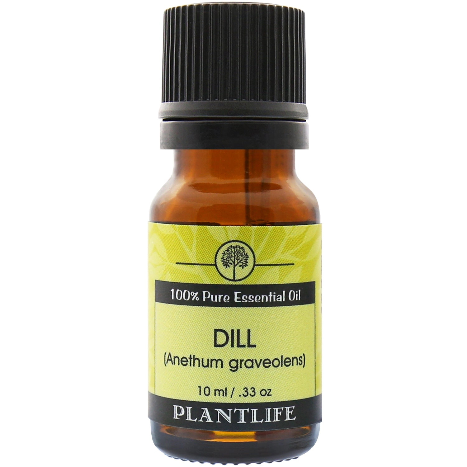 Plantlife Dill Essential Oil