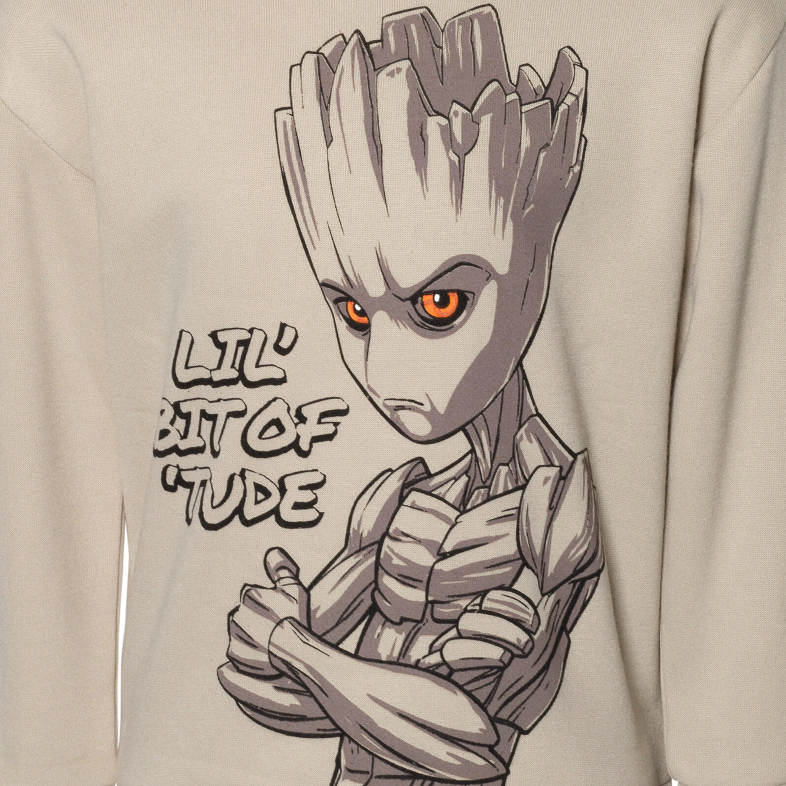 Marvel Guardians of the Galaxy Groot Boys' Fleece Pullover Hoodie