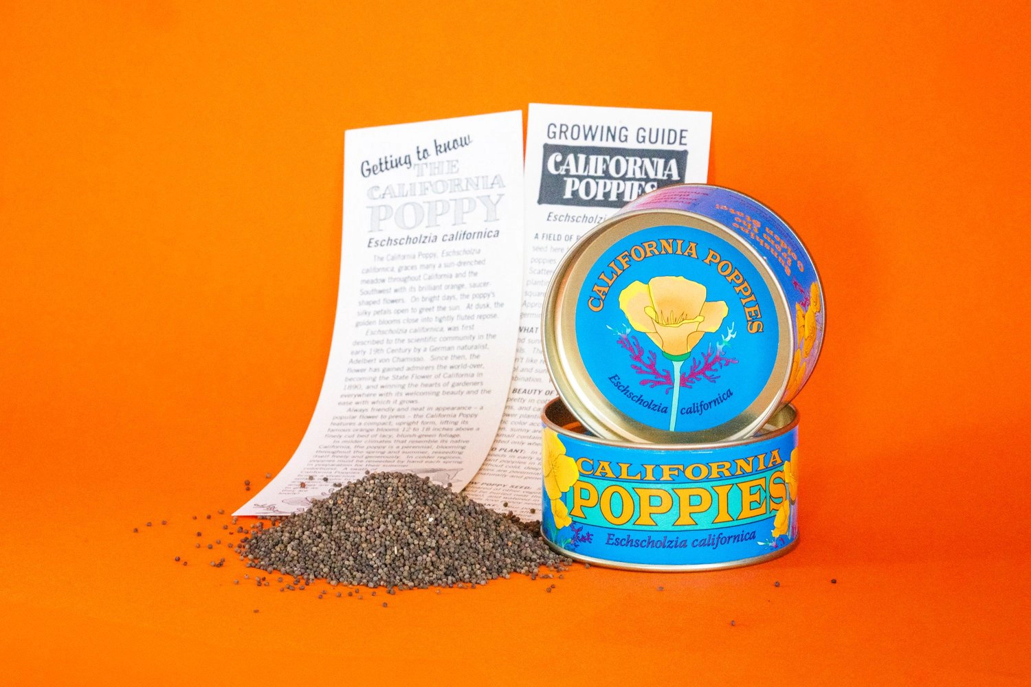 Jonsteen Company California Poppy Flower Seed Grow Kit - Eschscholzia californica, Approx. 30,000 Seeds