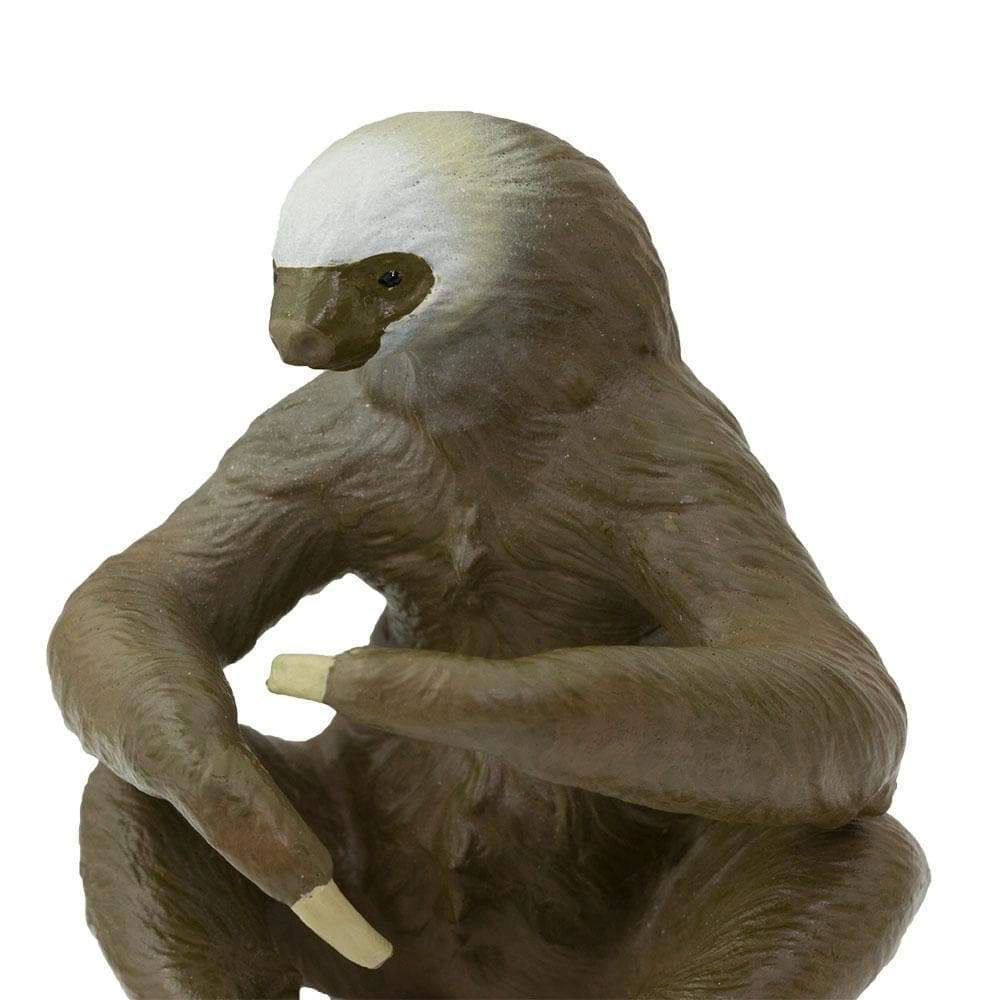 Safari Ltd. - Two-Toed Sloth Kids Toy Figure