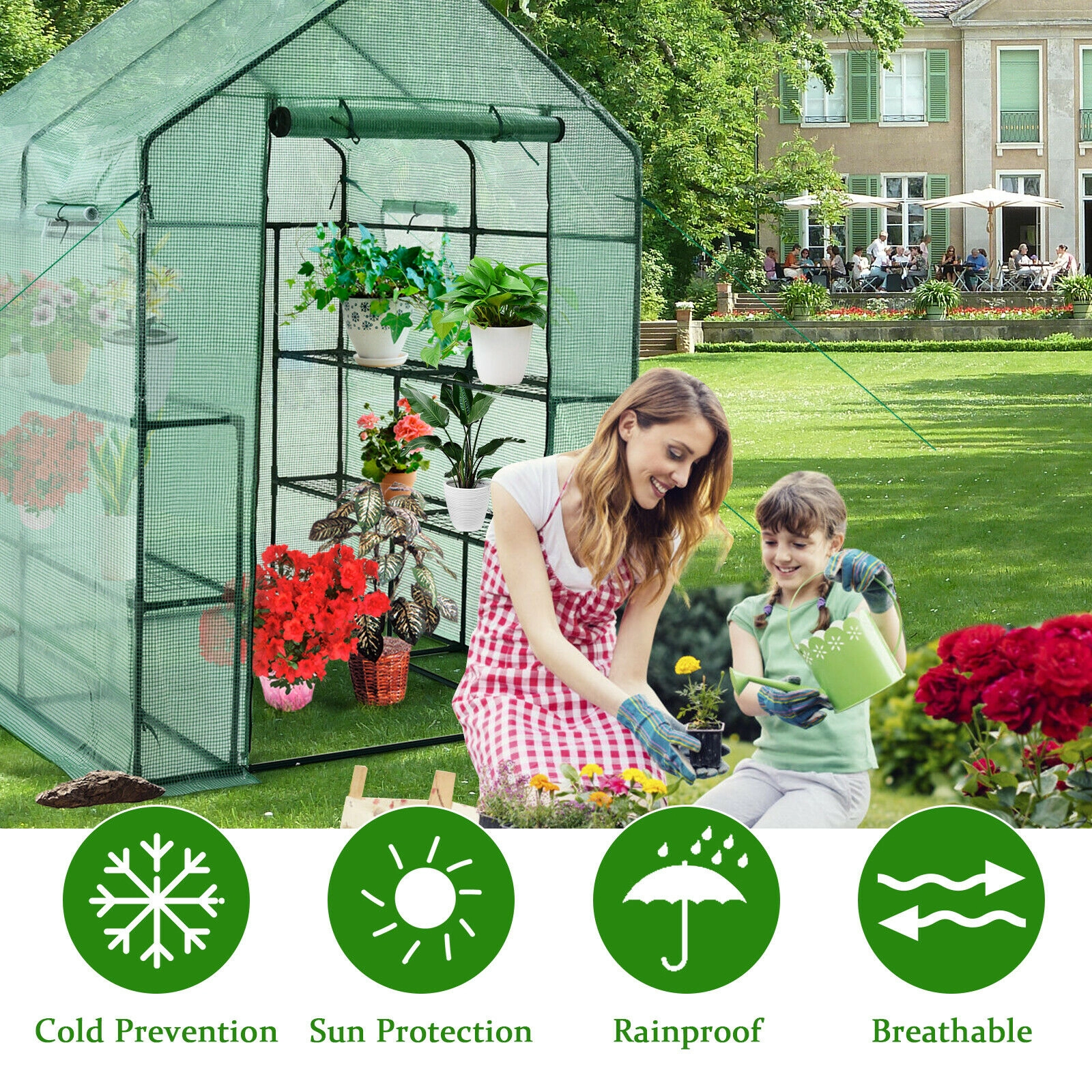 SUGIFT Walk-in Greenhouse 55 x 57 77 with Observation Windows and Roll-up Door