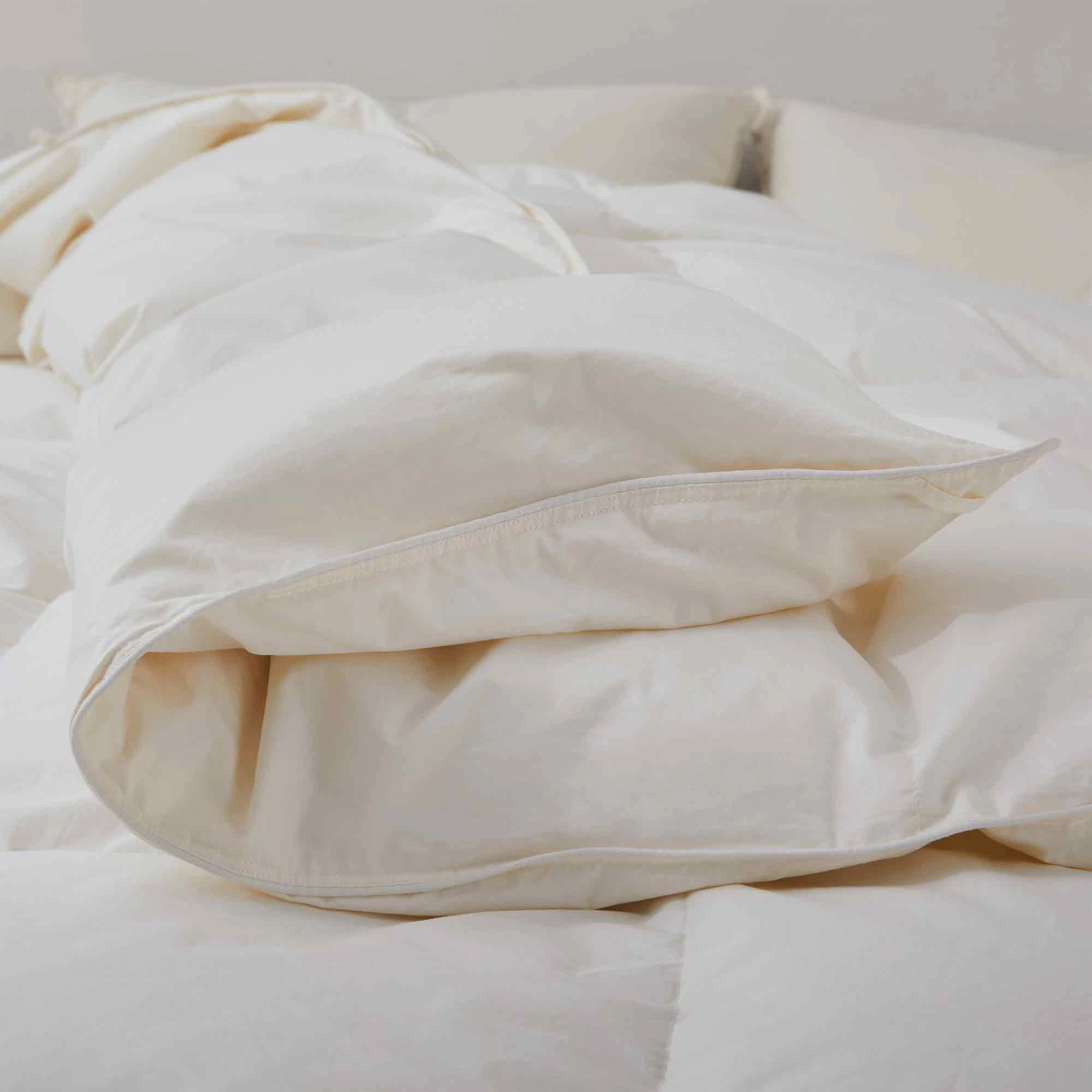 Puredown Selected All Season Down Comforter with 100% Organic Cotton Shell