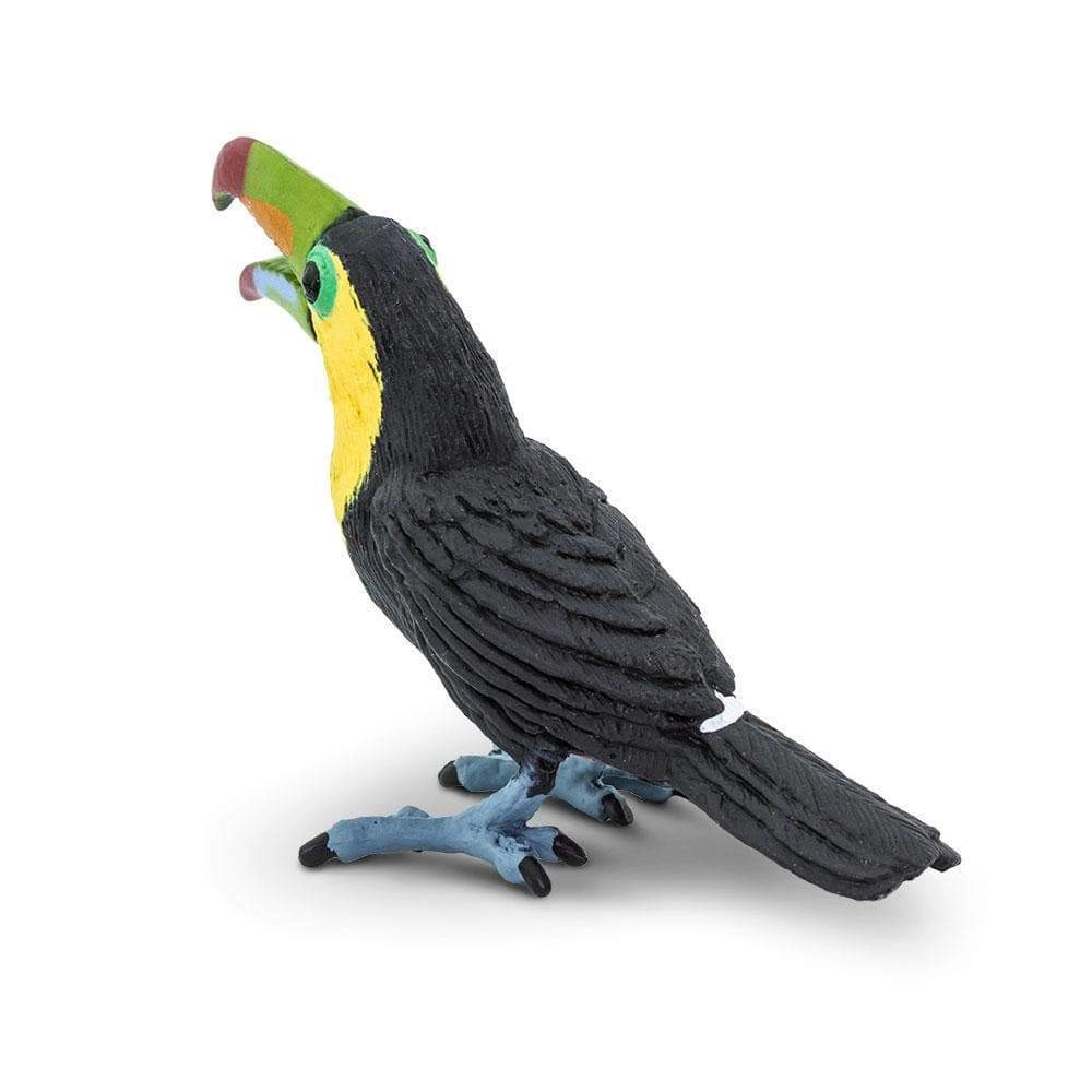 Safari Ltd. - Toucan Kids Toy Figure