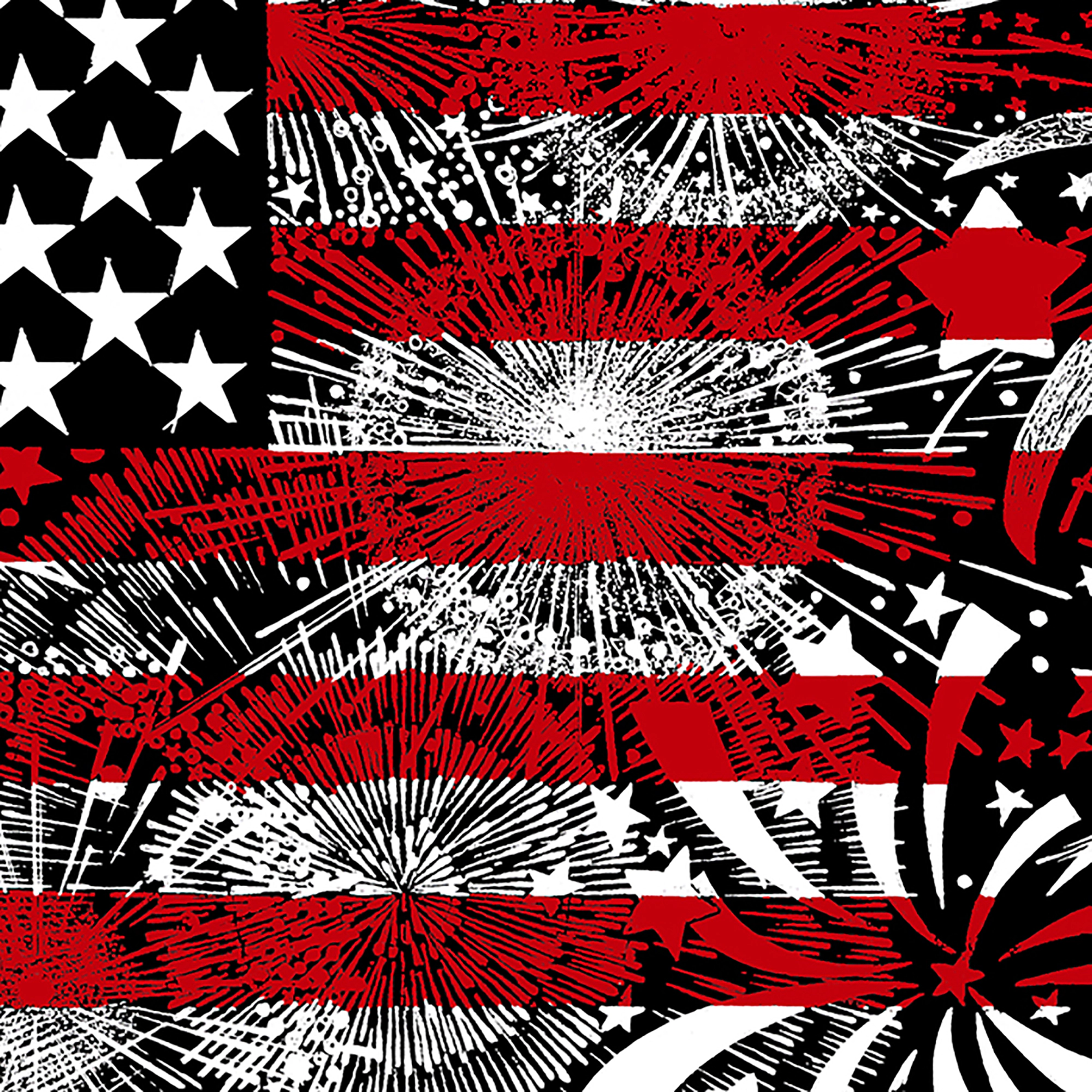 LA Pop Art Fireworks American Flag