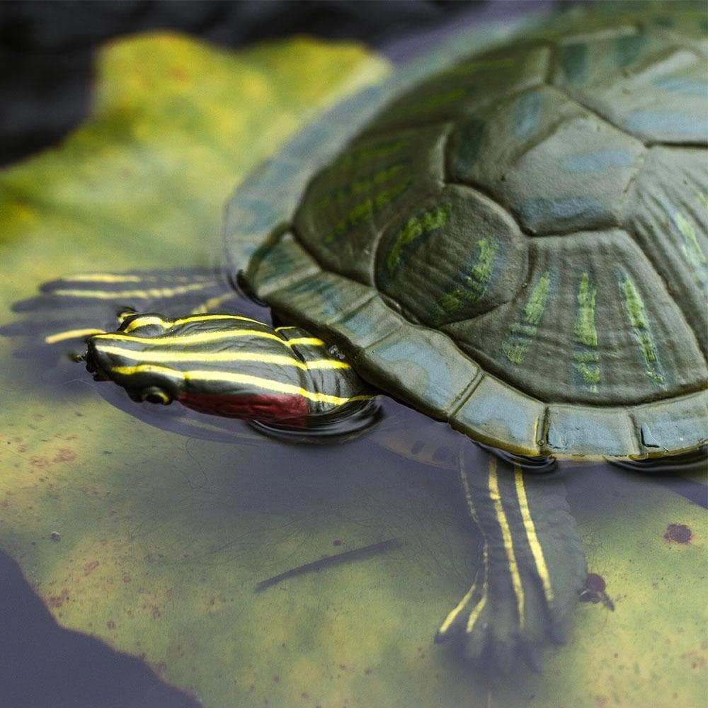 Safari Ltd. - Red-Eared Slider Turtle Kids Toy Figure