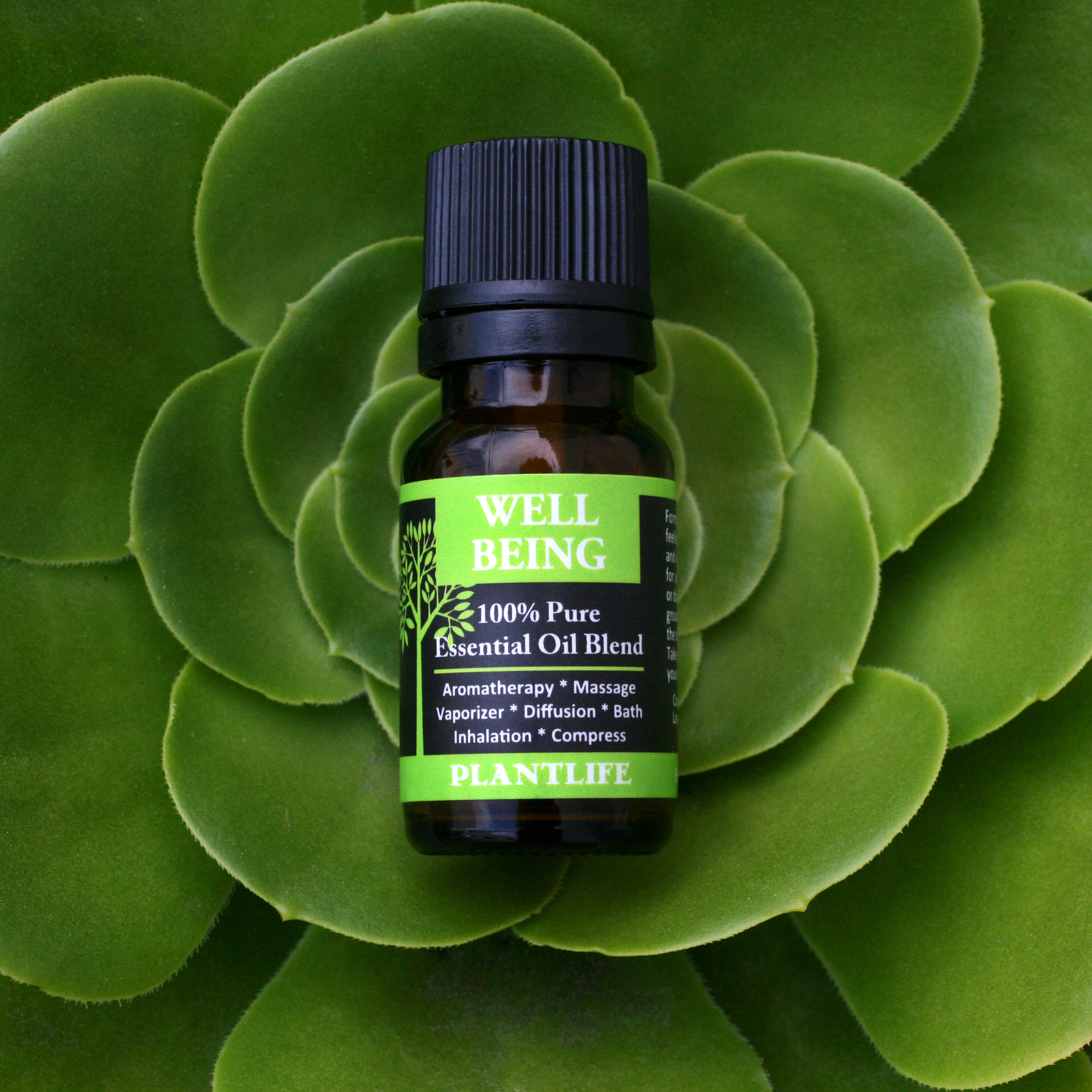 Plantlife Spa at Home Essential Oil Set 6-Pack