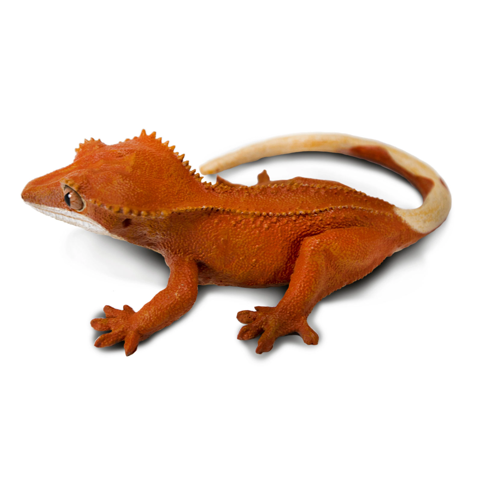 Safari Ltd. - Crested Gecko Kids Toy Figure