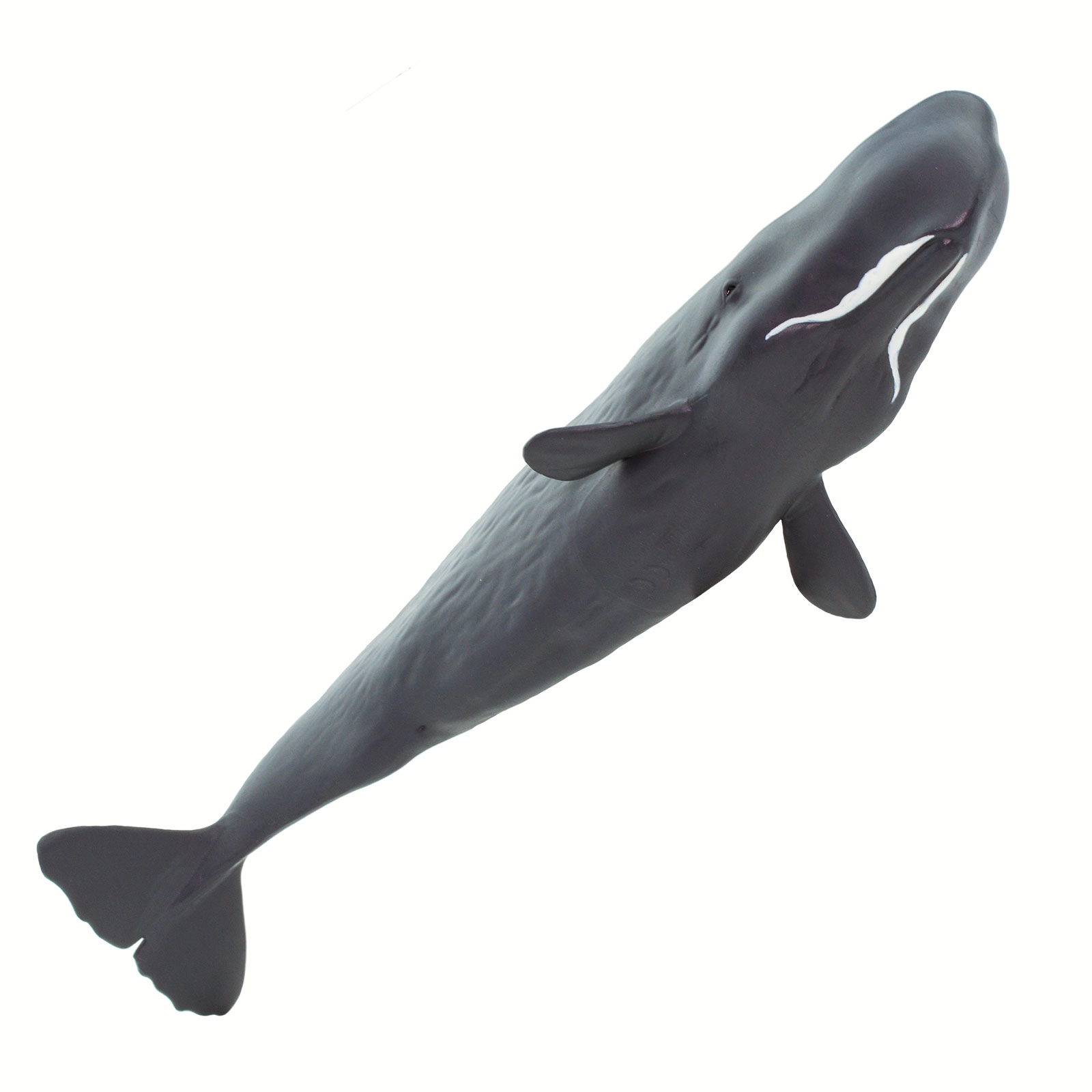 Safari Ltd. - Sperm Whale Kids Toy Figure