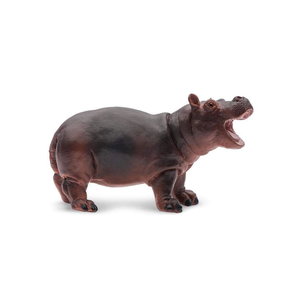 Safari Ltd. - Baby Hippo Kids Toy Figure