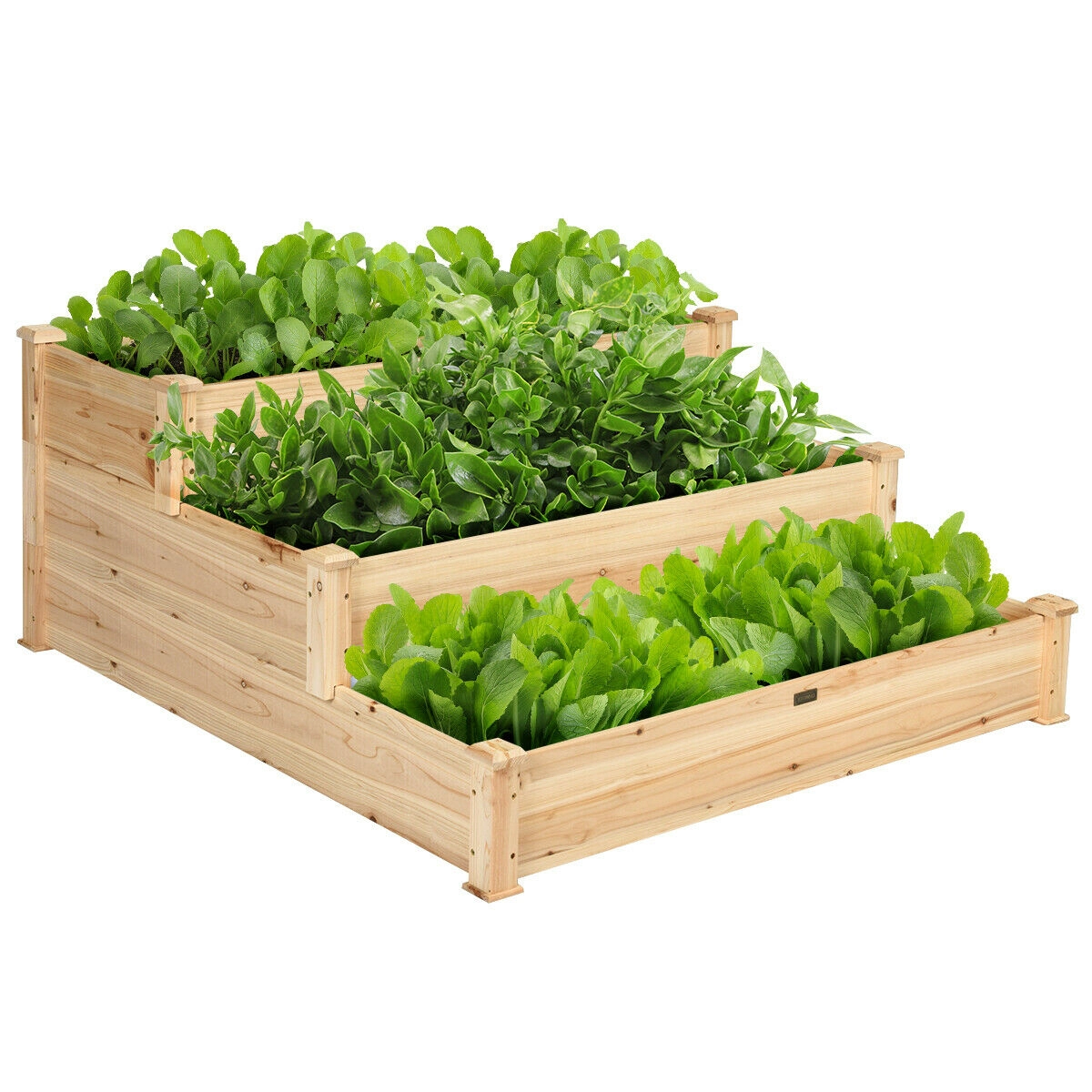 SUGIFT 3-Tier Natural Wood Elevated Vegetable Garden Bed with Open-Ended Base 47-in W 47-in D 22-in H
