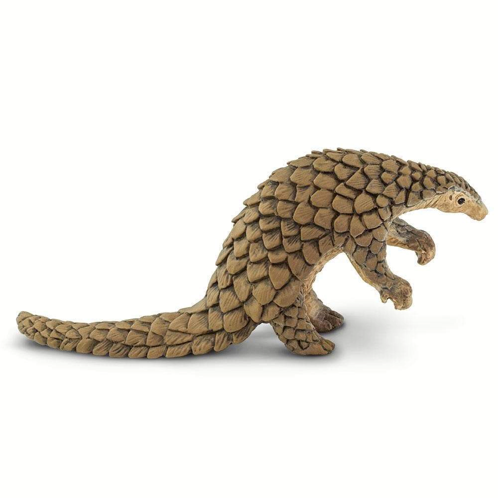 Safari Ltd. - Pangolin Kids Toy Figure