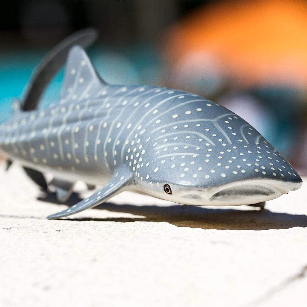 Safari Ltd. - Whale Shark Kids Toy Figure