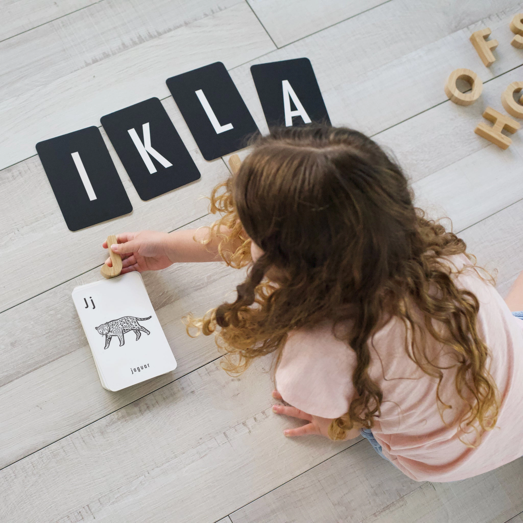 Wee Gallery Animal Alphabet Cards