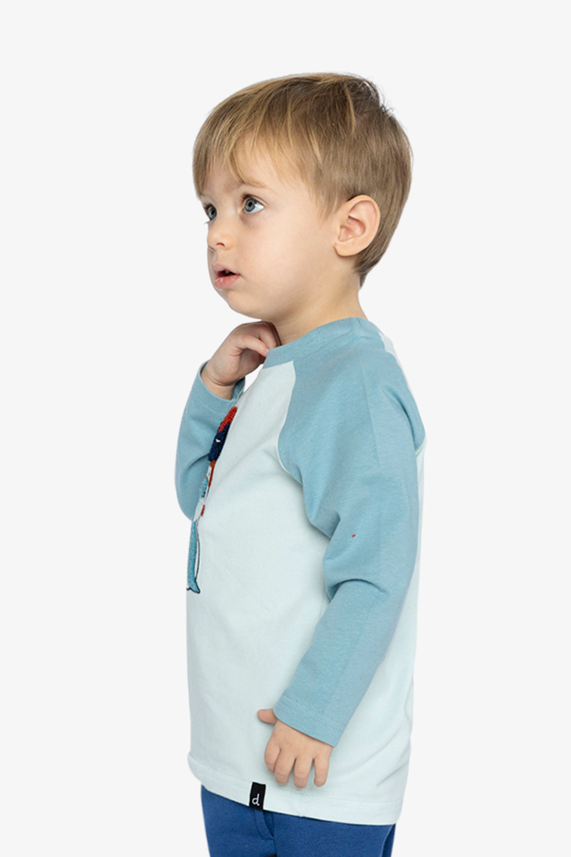 Deux par Deux Boys Long Sleeve Raglan Organic Cotton Walrus Ski Graphic T-Shirt
