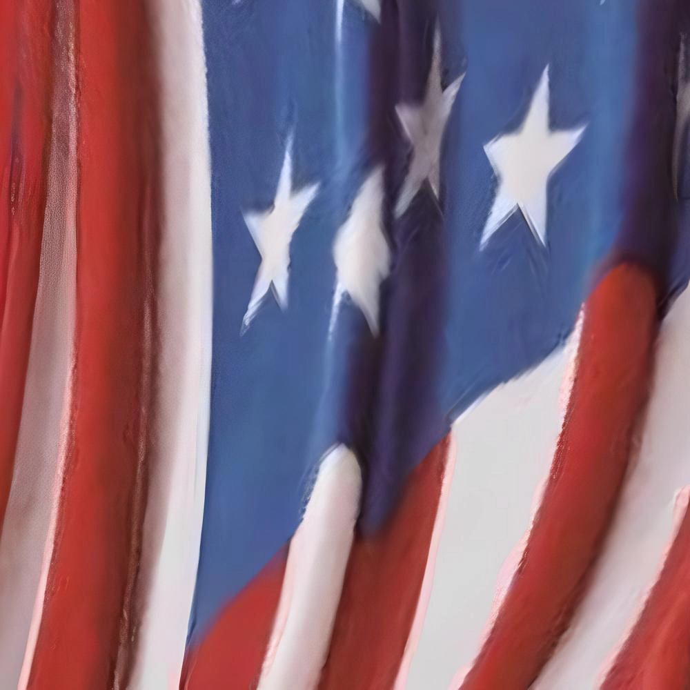 Plazatex America 250 100% Polyester Micro Plush American Flag Style Throw Blanket 50" x 70" Red