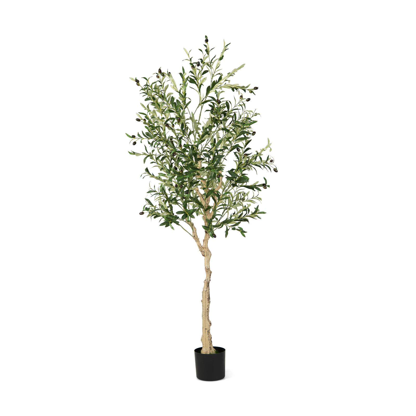 Slickblue 6 ft Faux Olive Plant with Olive Fruits, Weighted Planter for Indoor Decor