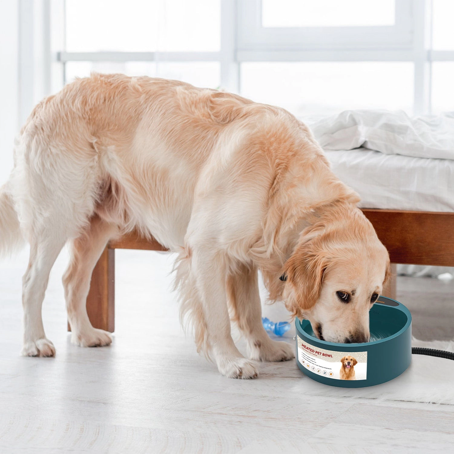 GBruno Thermostat Heated Pet Water Bowl