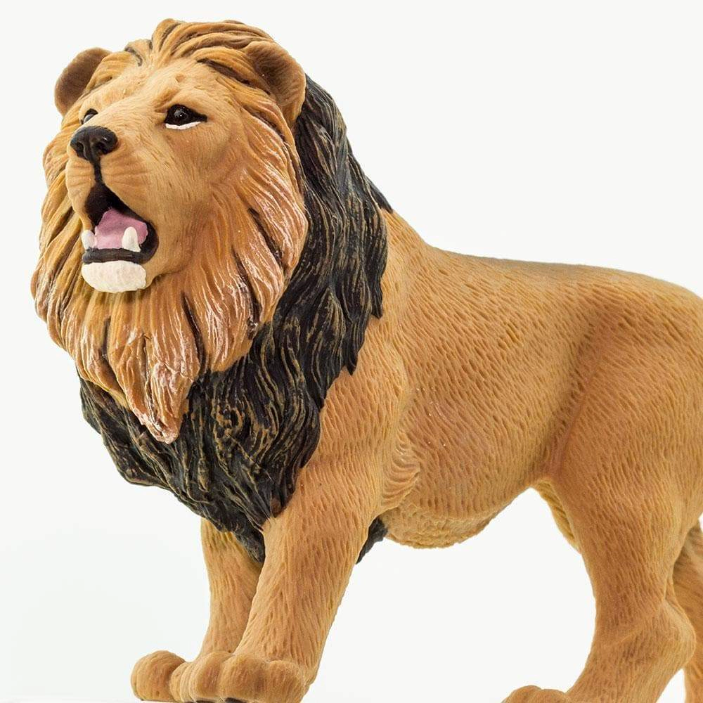 Safari Ltd. - Lion Kids Toy Figure