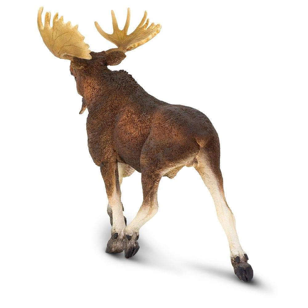 Safari Ltd. - Moose Kids Toy Figure