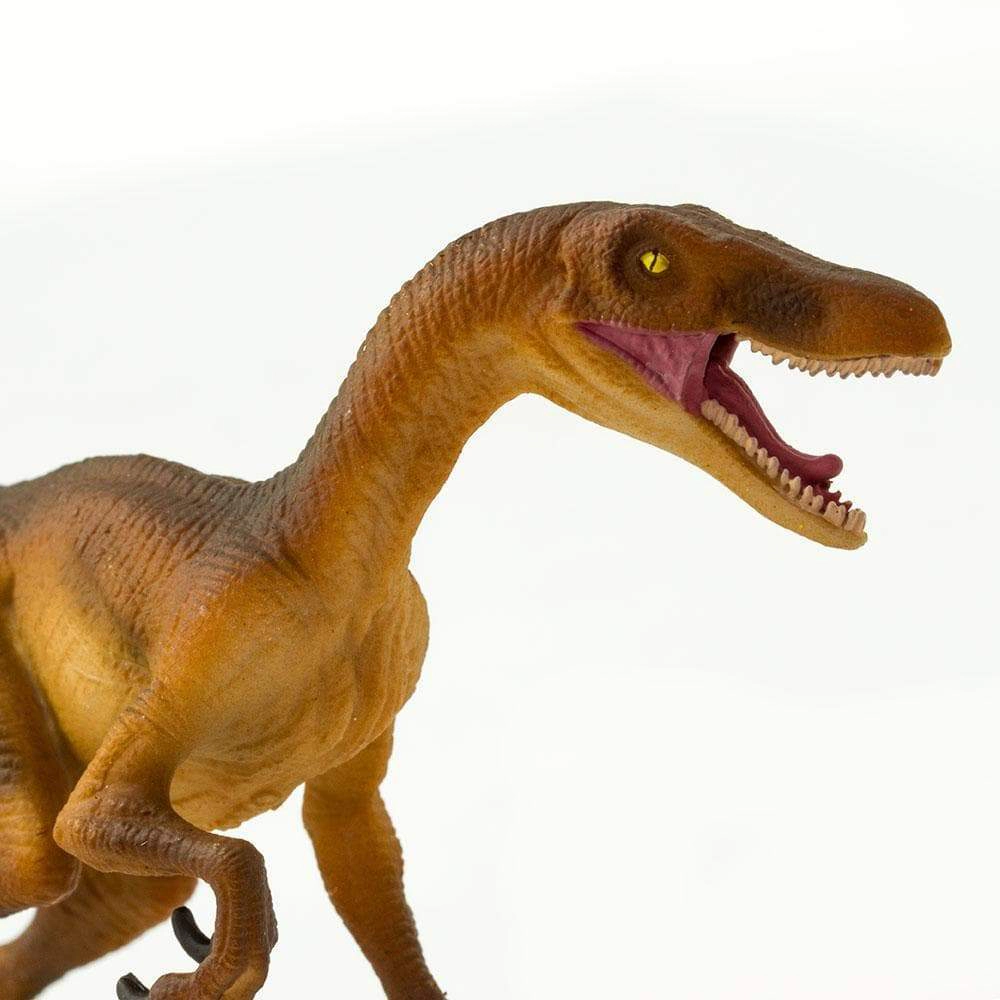 Safari Ltd. - Velociraptor Kids Prehistoric/Dinosaur Toy Figure