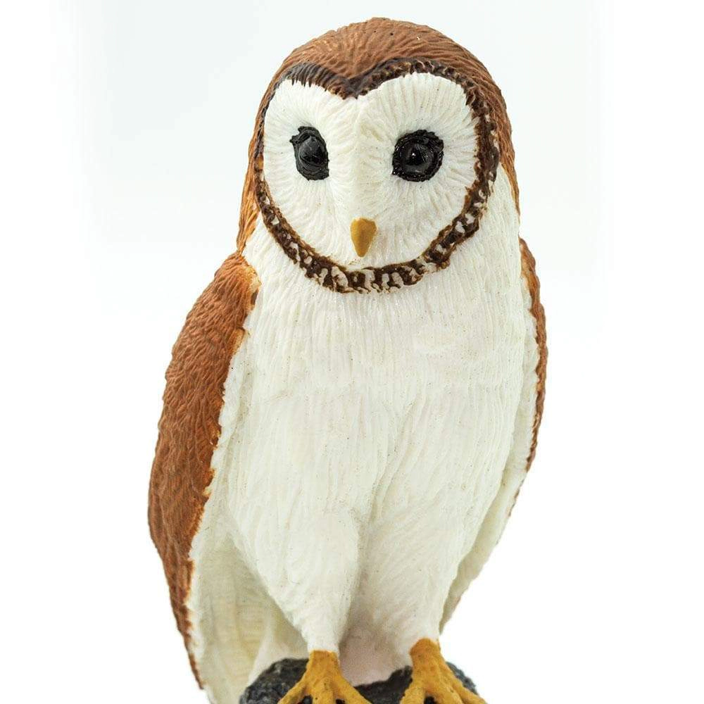 Safari Ltd. - Barn Owl Kids Toy Figure