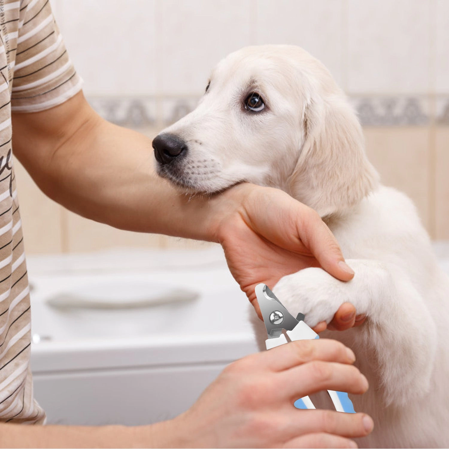 GBruno Stainless Steel Dog Nail Clippers With File