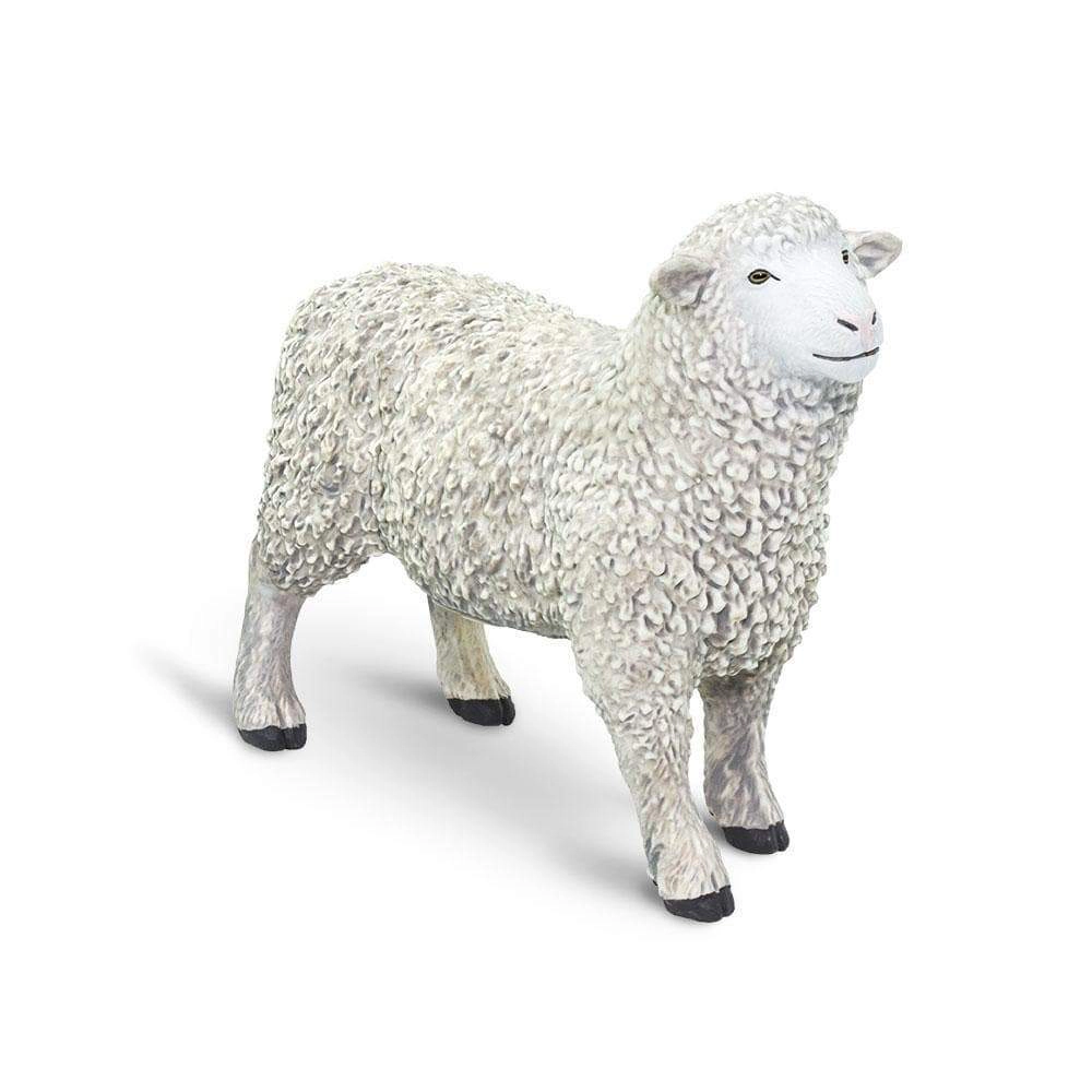 Safari Ltd. - Sheep Kids Toy Figure