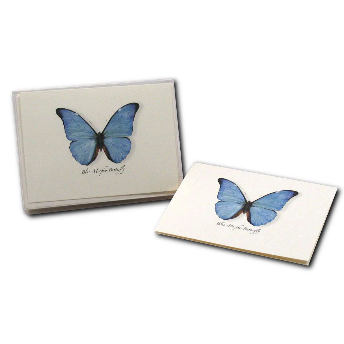Earth Sky + Water Blue Morpho Butterfly Notecard Set - 8 Blank Recycled Paper Cards with Envelopes
