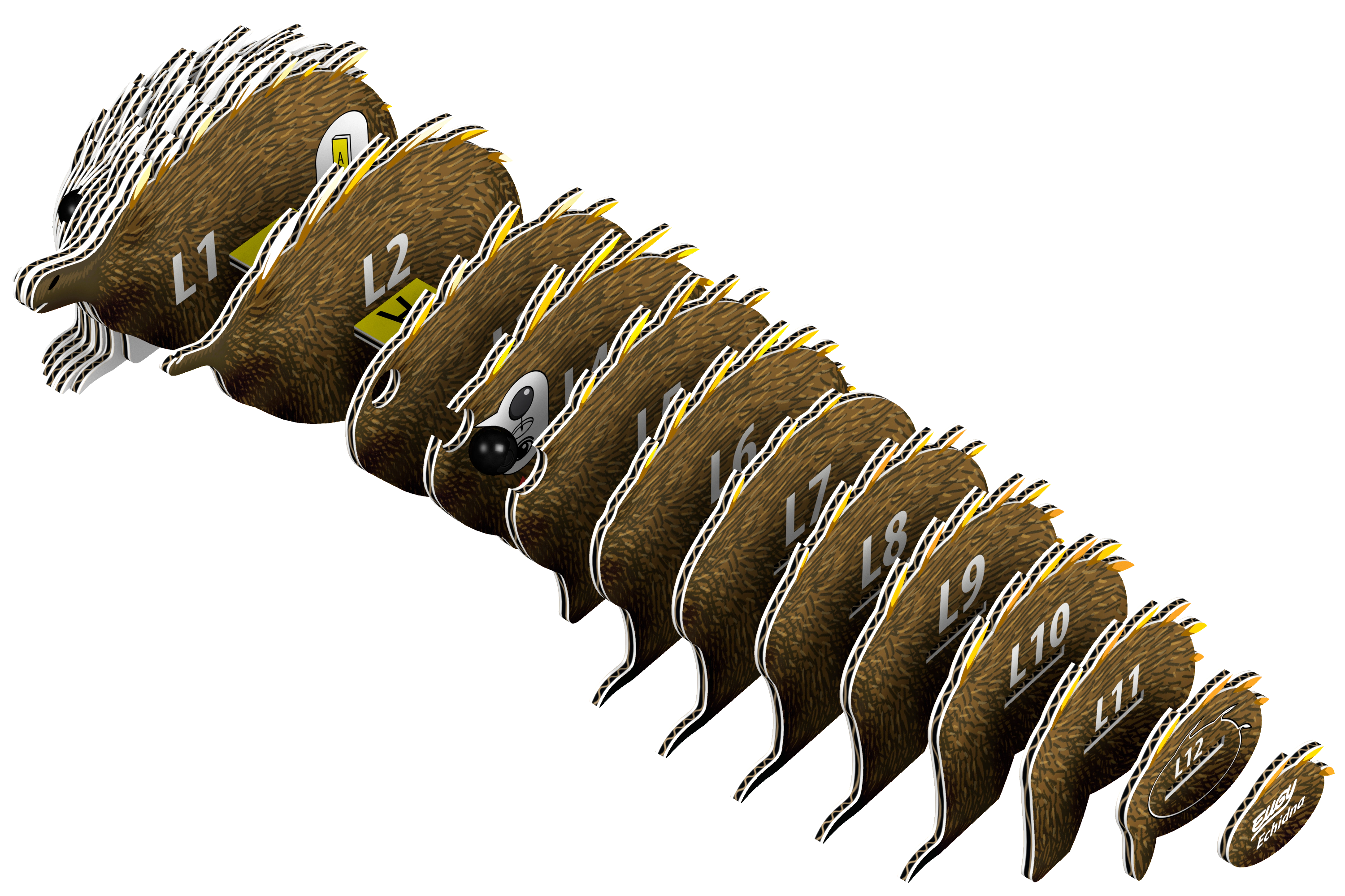 EUGY Echidna 3D Puzzle - contains 26 puzzle pieces