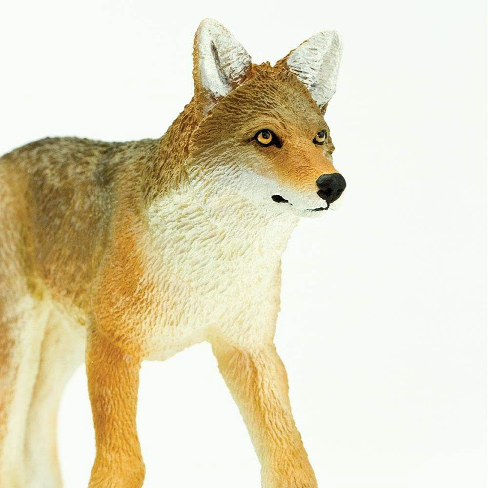 Safari Ltd. - Coyote Kids Toy Figure