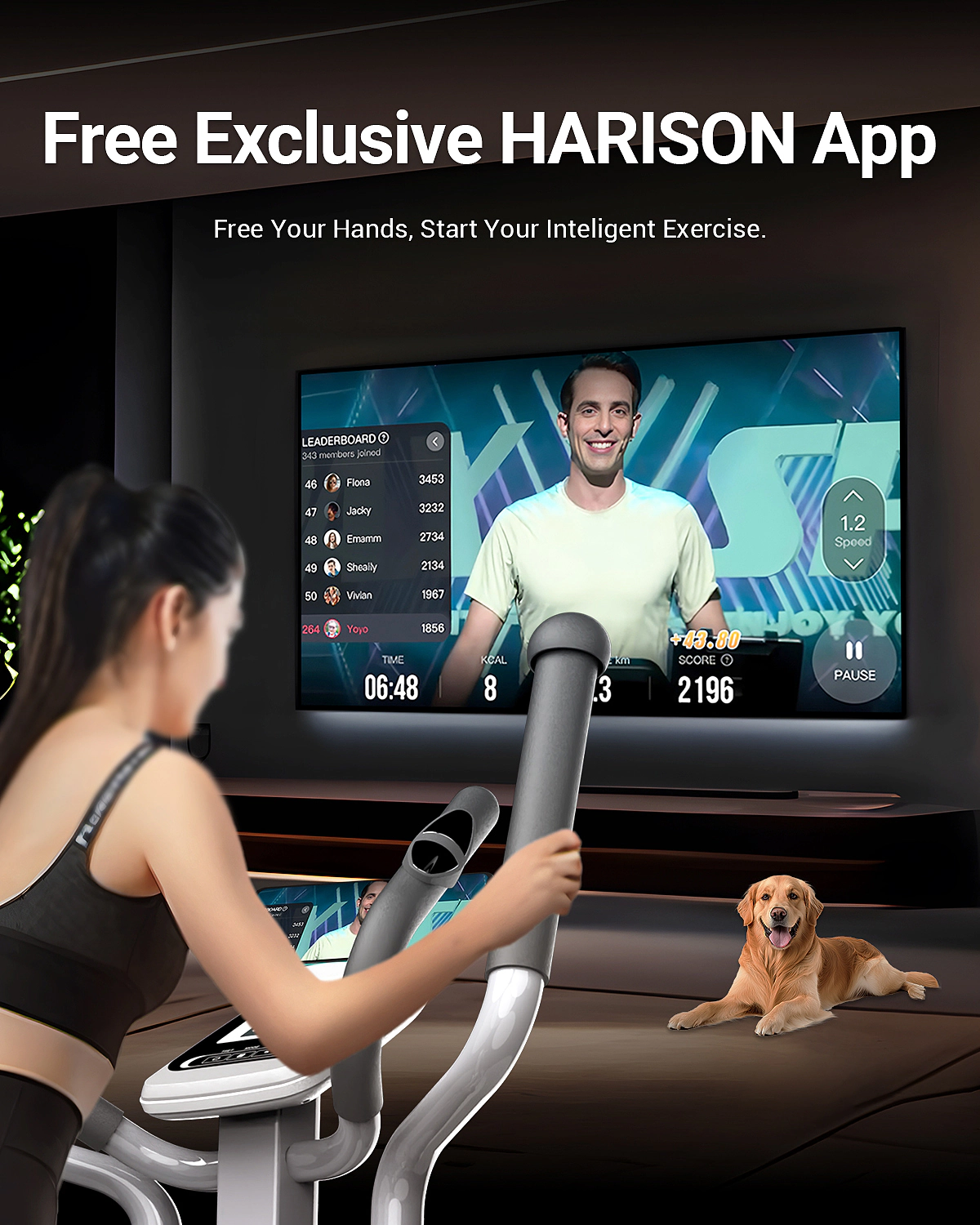 HARISON Magnetic Elliptical Machine, 350 lb Capacity, 16 Resistance Levels, Quiet Cardio Trainer for Home Gym