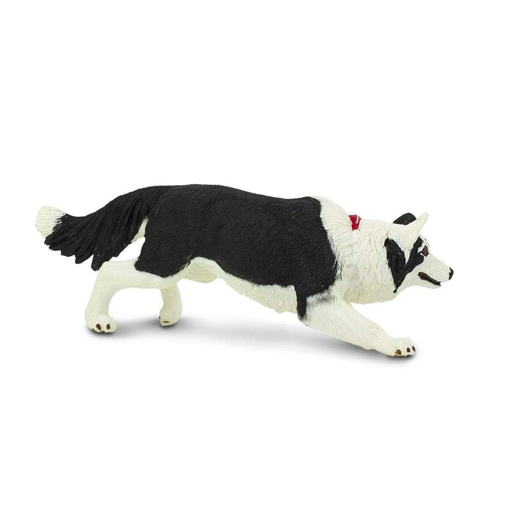 Safari Ltd. - Border Collie Kids Toy Figure