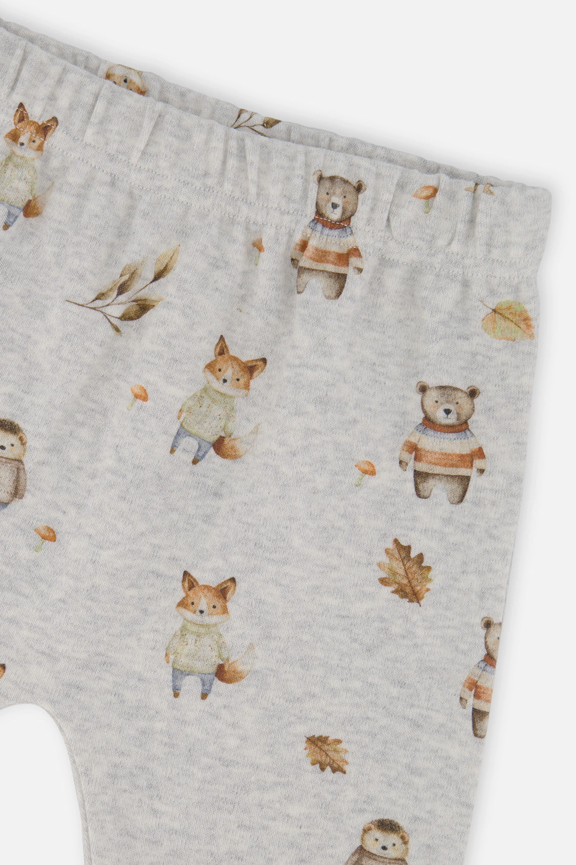 Deux par Boys Organic Cotton Pants and Top Set with Woodland Animal Print