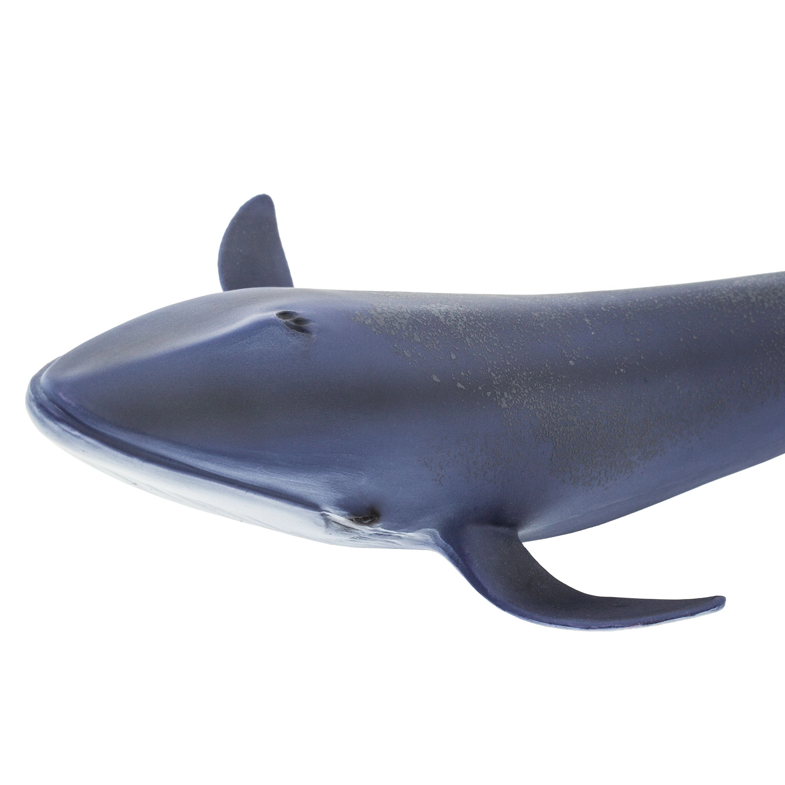 Safari Ltd. - Blue Whale Kids Toy Figure