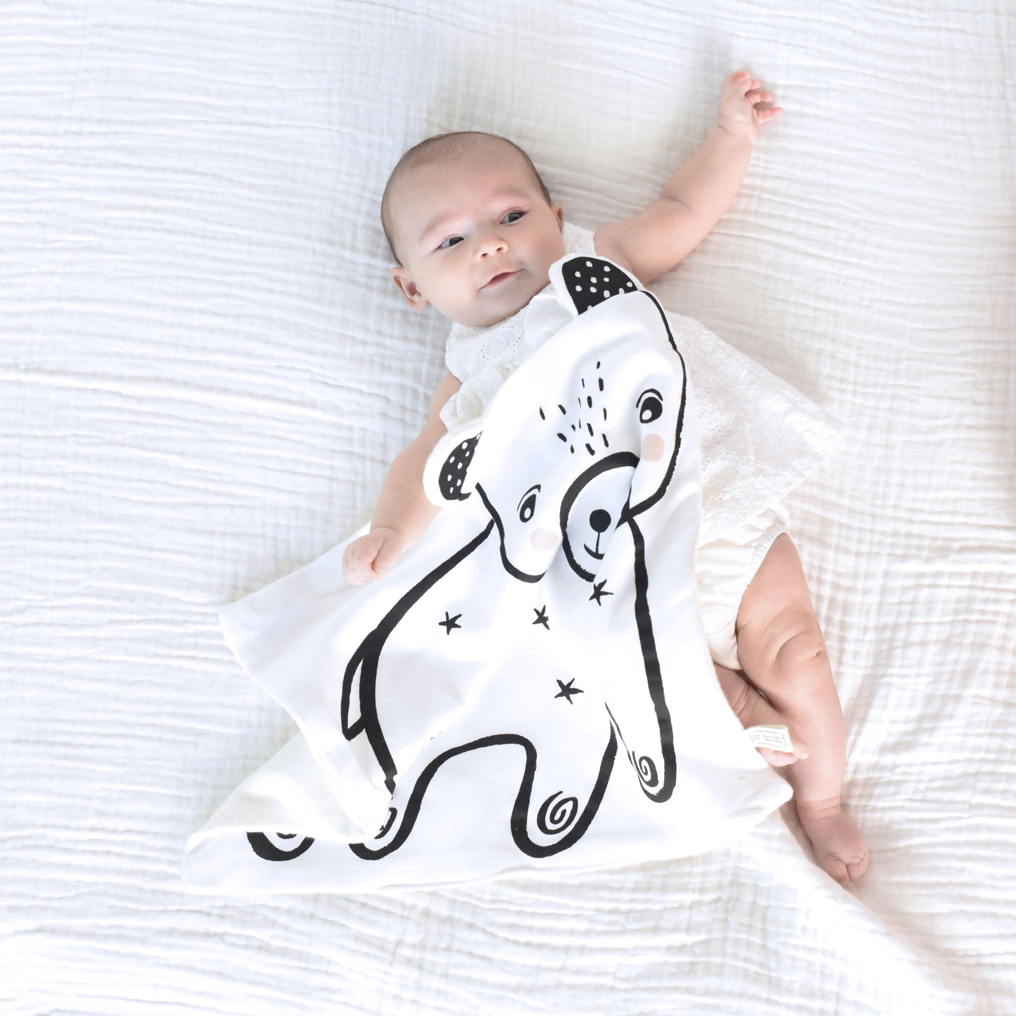 Wee Gallery Organic Baby Set - Bear Snuggle Blanket, Baby Animals Sensory Block, Stars Muslin Swaddle and Cuddle Bunny