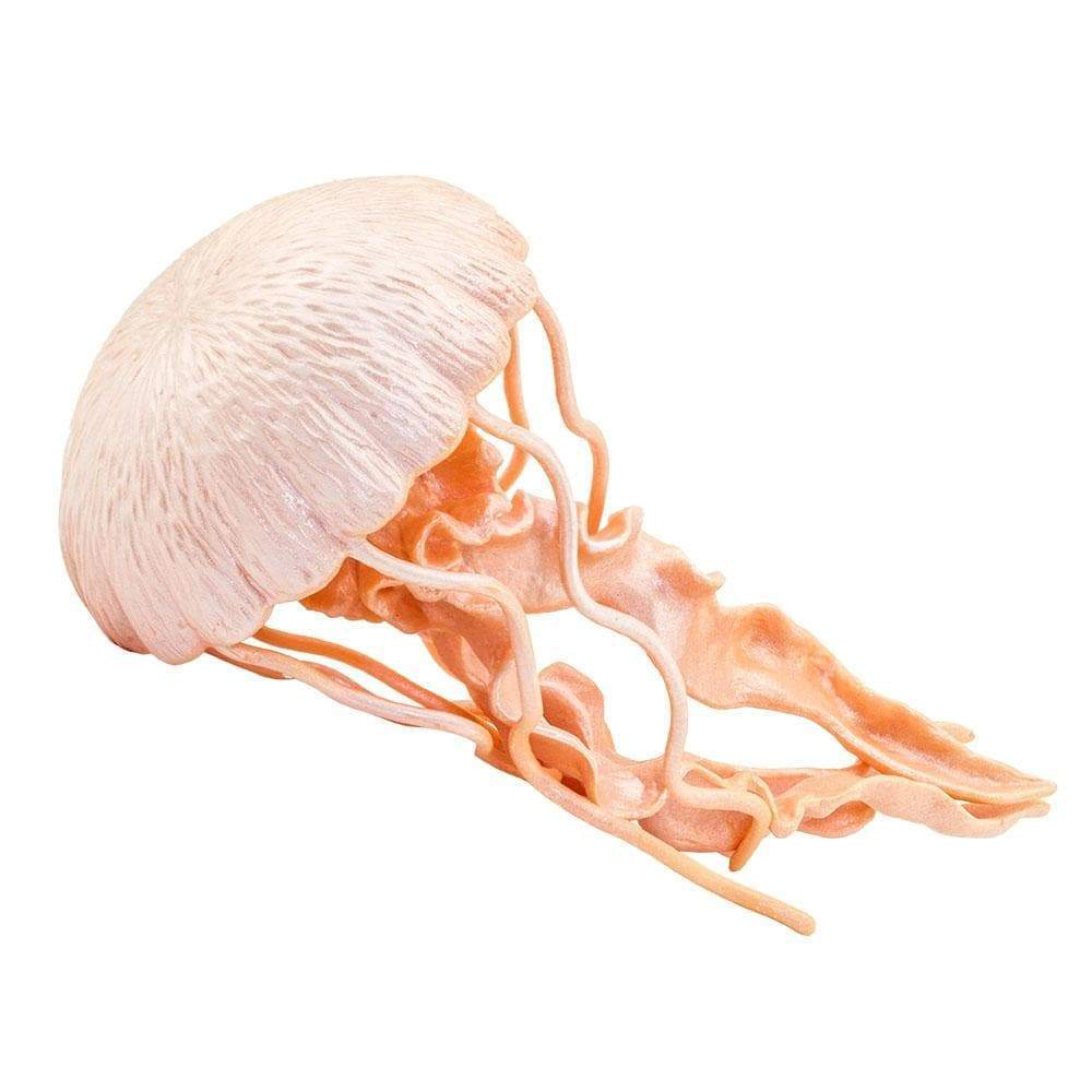 Safari Ltd. - Jellyfish Kids Toy Figure