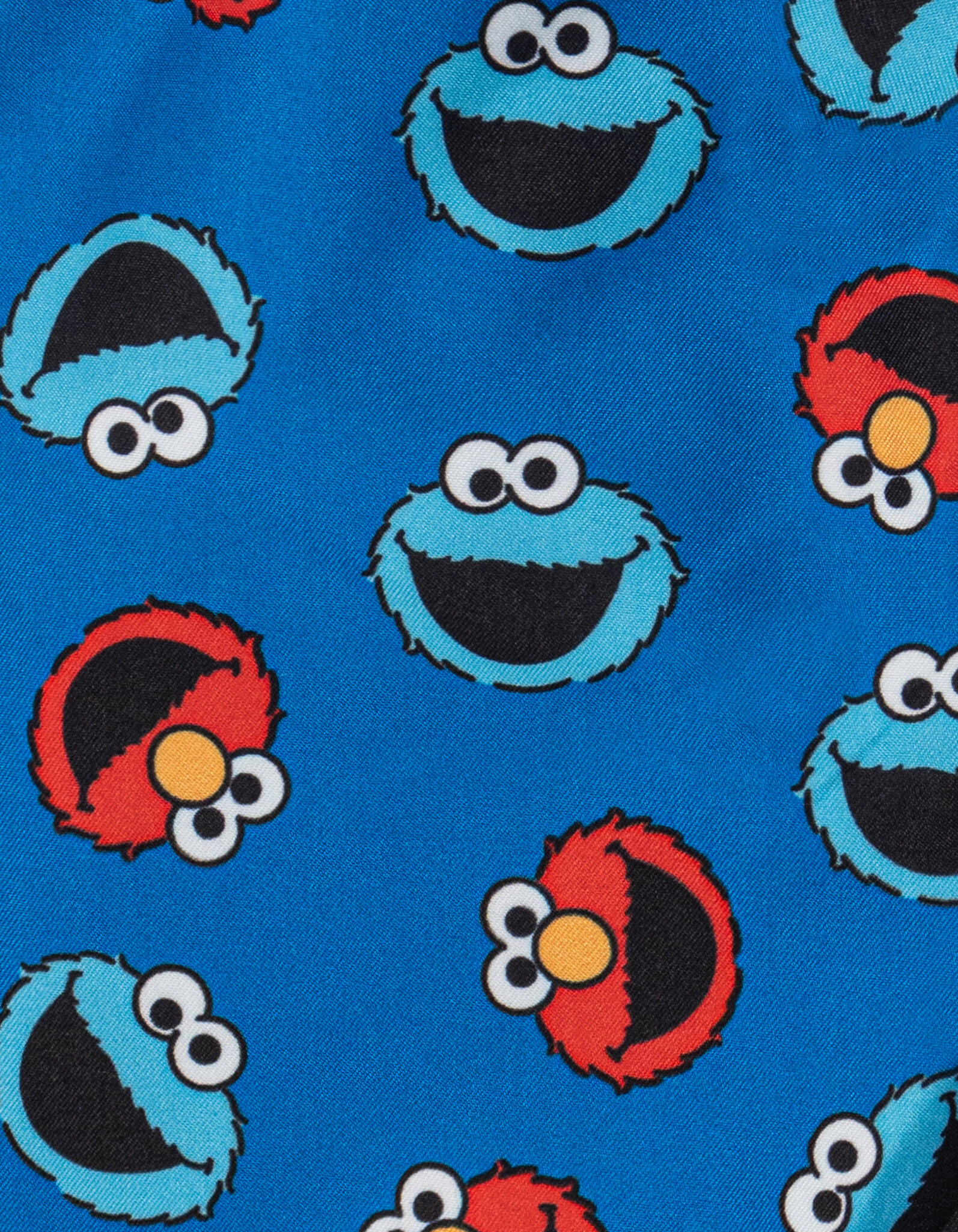 Sesame Street Boys' 2-Piece Swimwear Rash Guard and Swim Trunks Set