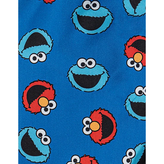 Sesame Street Boys' 2-Piece Swimwear Rash Guard and Swim Trunks Set