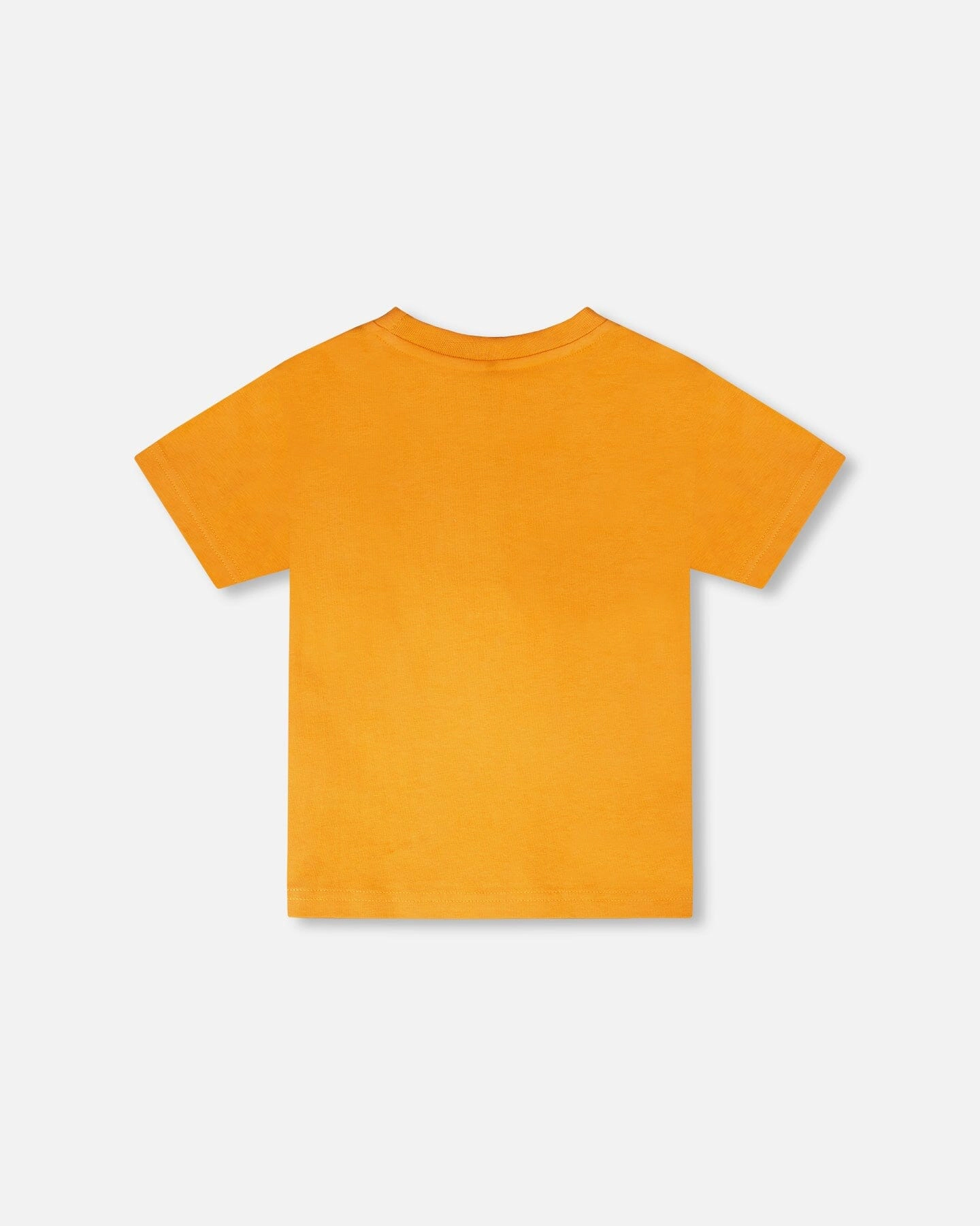Deux par Deux Boys Organic Cotton Zebra Graphic Short Sleeve T-Shirt