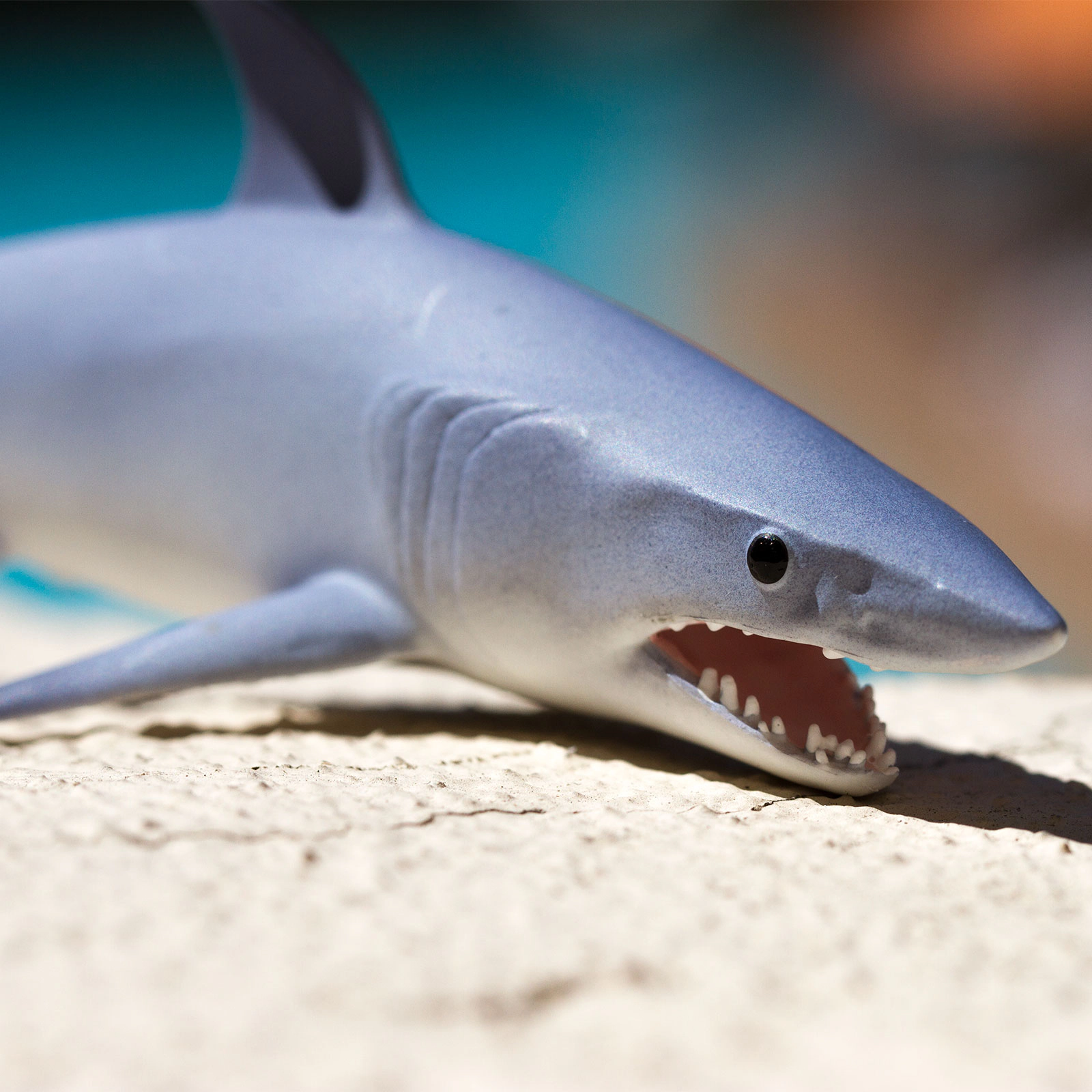 Safari Ltd. - Mako Shark Kids Toy Figure