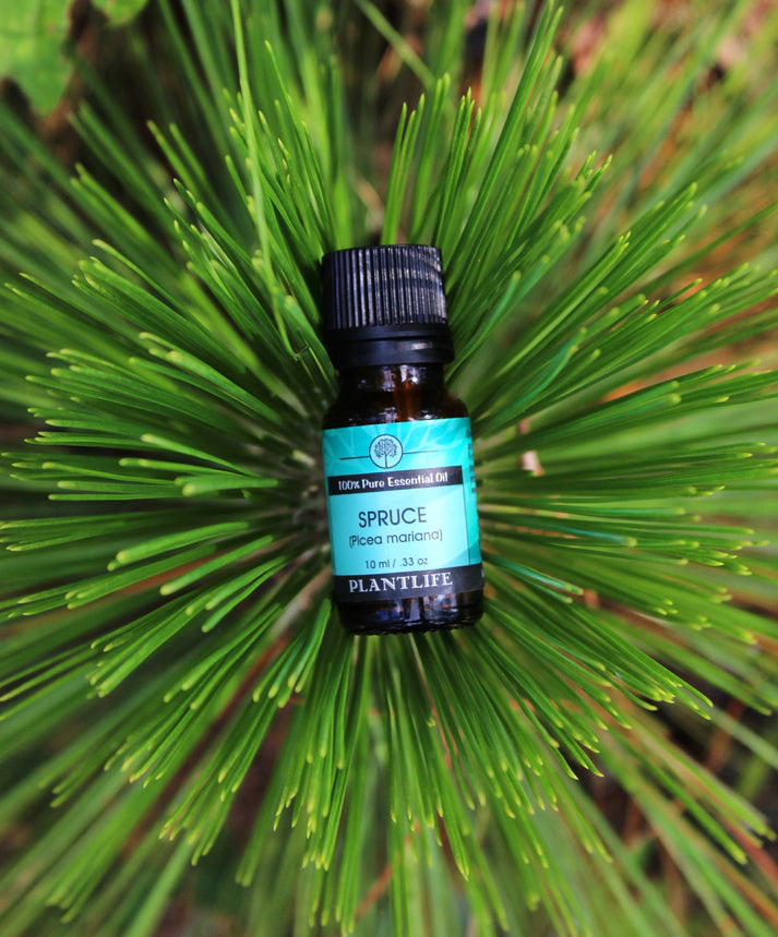 Plantlife Spruce Essential Oil